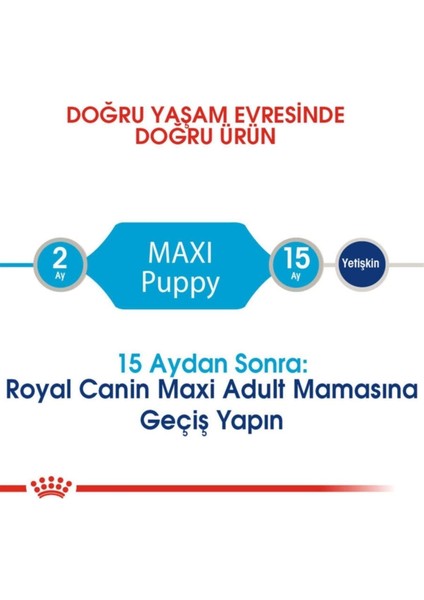 Maxi Puppy Büyük Irk Yavru Köpek Maması 15 kg