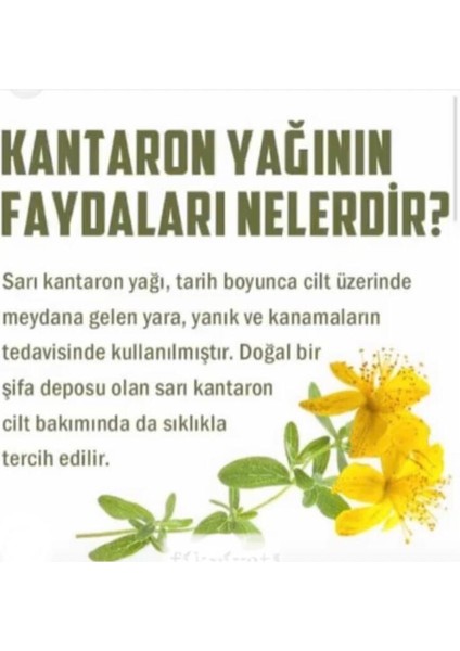 Sarı Kantaronyağı