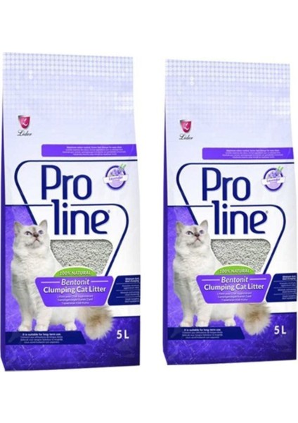 Lavanta Kokulu Kedi Kumu 5 Lt x 2 Adet
