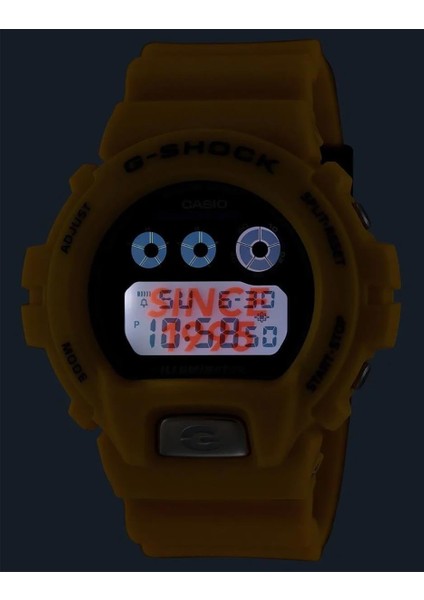 G-Shock DW-6900TR-9DR Erkek Kol Saati
