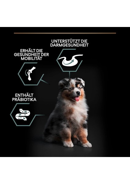 Proplan Medium Puppy Kuzu Etli Yavru Köpek Maması 3 kg