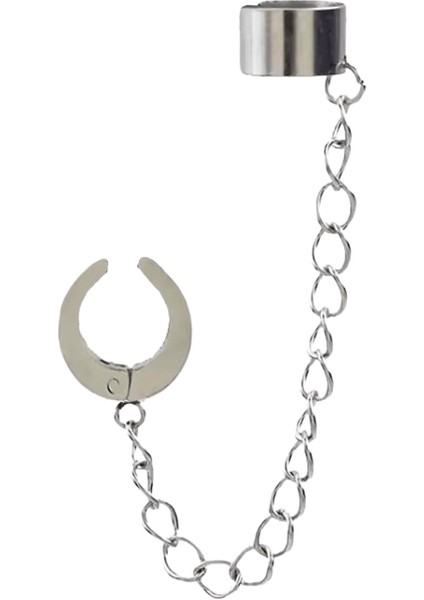 Lüks Kristal Çiçek Püskül Damla Küpe Kadınlar Için Parlak Zirkon Opal Uzun Dangle Küpe Kızlar Parti Düğün Takı Hediye Metal RENK:ER22Y0921 (Yurt Dışından)