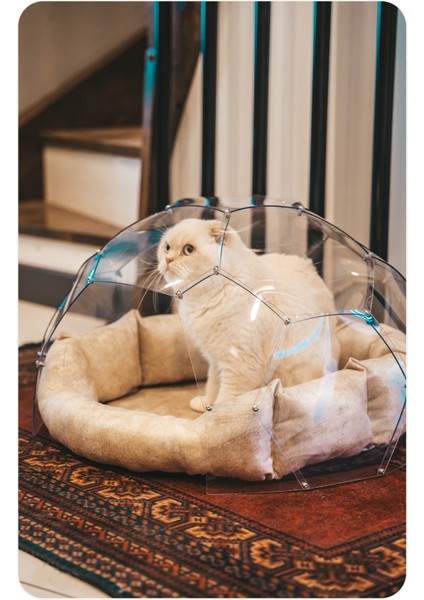 Kedi & Köpek Dome Evi - Fanus Yuva