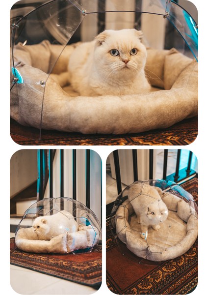 Kedi & Köpek Dome Evi - Fanus Yuva fiyatları