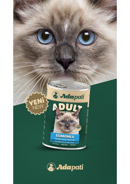 Somon Eti Aromalı Komple Yetişkin Kedi Maması 400 gr fırsatları