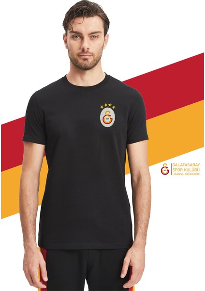 Orijinal Lisanslı Siyah Basic T-Shirt