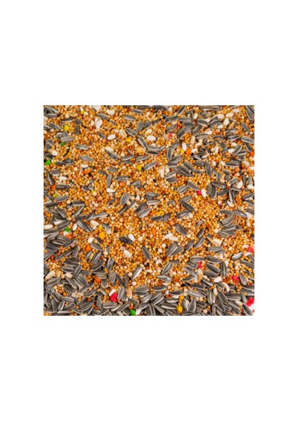 T-Bird Papağan Yemi 1 kg