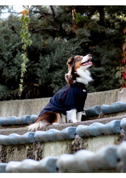 Waffle Tshirt | Royal Blue modelleri