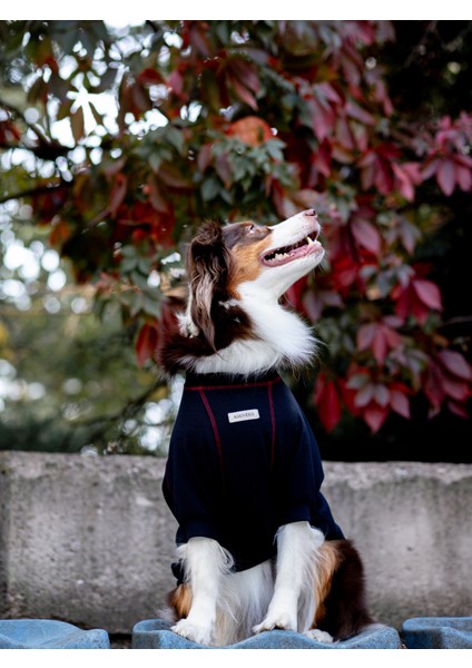 Waffle Tshirt | Royal Blue fırsatları