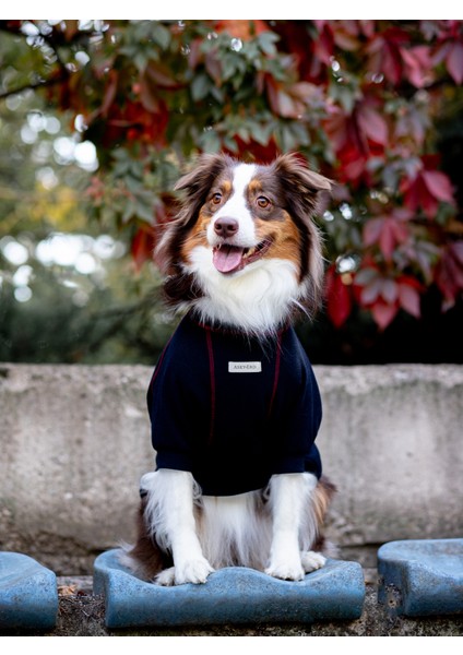 Waffle Tshirt | Royal Blue indirimleri