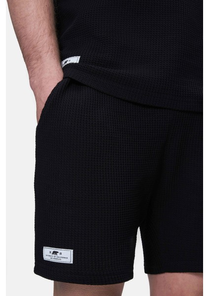 Sıerge Siyah Örme Şort Baskılı Standard Fit Erkek Örme Şort fırsatları