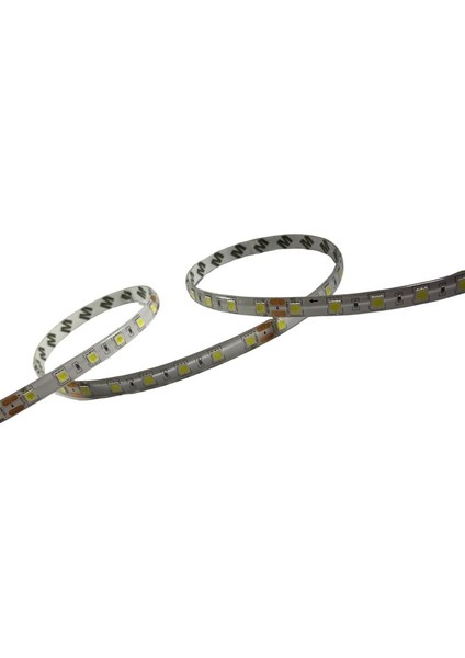 24V Şerit LED Beyaz 5050 IP65 24 Volt Şerit LED (5m) fiyatları