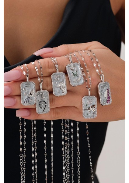 Zodiac Burç Silver Çelik Balık Burcu Kolye