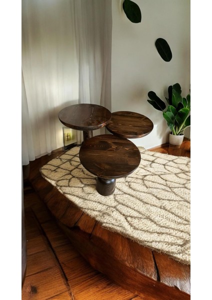 Wood Ahşap 3’lü Set Ürgüp Mantar Yan Sehpa Konik Model / Ceviz Renk / Zigon Sehpa Vernikli