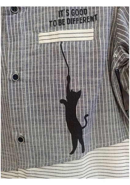 Parçalı Hakim Yaka Kedi Detaylı Erkek Çocuk Takım fiyatları