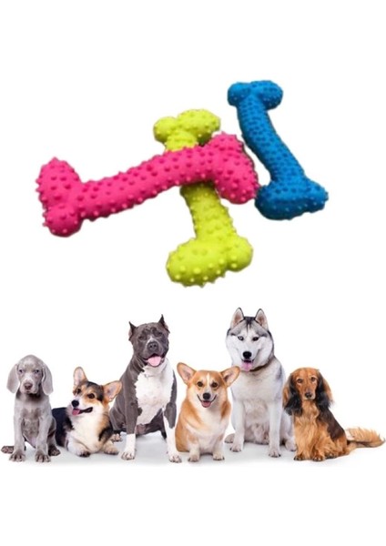 Tiny Kemik Oyuncağı Tırtıklı Yüzey Küçük Kemik Plastik Köpek Oyuncağı (4887)