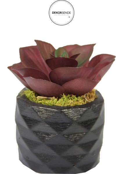 Yapay Mini Echeveria Sukulent Bordo 8 cm Saksılı fiyatları