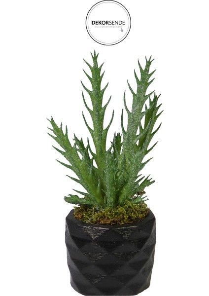 Yapay Iğne Yapraklı Kaktüs Sukulent Dalı Açık Yeşil 16 cm Saksılı