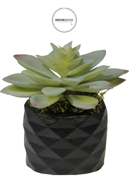 Yapay Mini Etli Echeveria Sukulent Açık Yeşil 12 cm Saksılı
