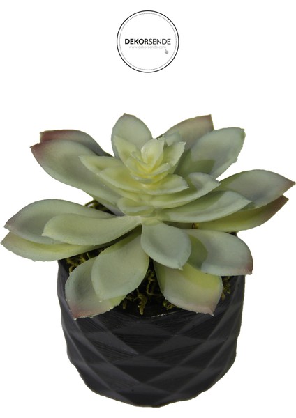 Yapay Mini Etli Echeveria Sukulent Açık Yeşil 12 cm Saksılı fiyatları