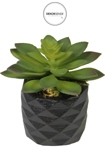Yapay Mini Etli Echeveria Sukulent Yeşil 12 cm Saksılı
