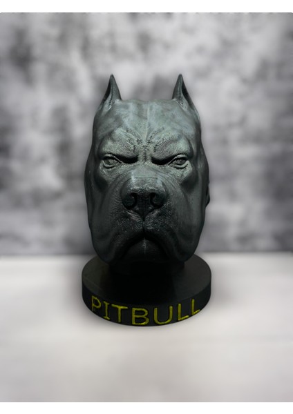 Pitbul Köpeği Büstü - Şık ve Modern Dekoratif Ev ve Ofis Tasarımı