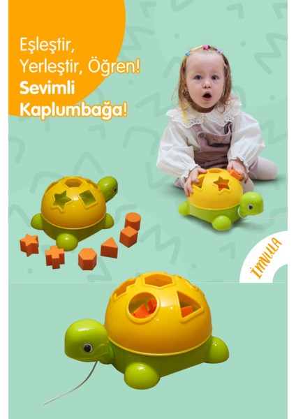 Bul-Tak Kaplumbağa Zeka ve Beceri Geliştirici Geometrik Şekiller Oyuncak