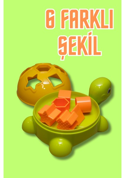Bul-Tak Kaplumbağa Zeka ve Beceri Geliştirici Geometrik Şekiller Oyuncak fiyatları