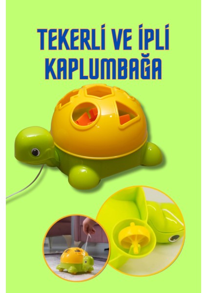 Bul-Tak Kaplumbağa Zeka ve Beceri Geliştirici Geometrik Şekiller Oyuncak fırsatları