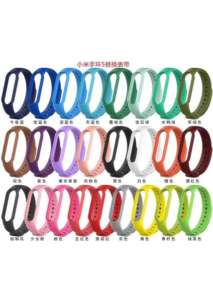 Xiaomi Mi Band 6 Uyumlu Klasik Kordon Zore - No2