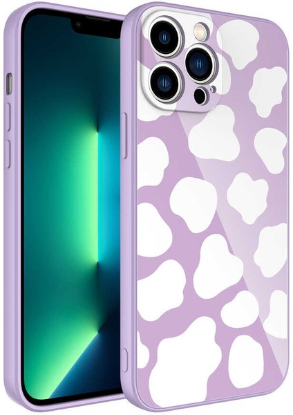 Apple iPhone 12 Pro Kılıf Kamera Korumalı Desenli Sert Silikon Epoksi Kapak-No6