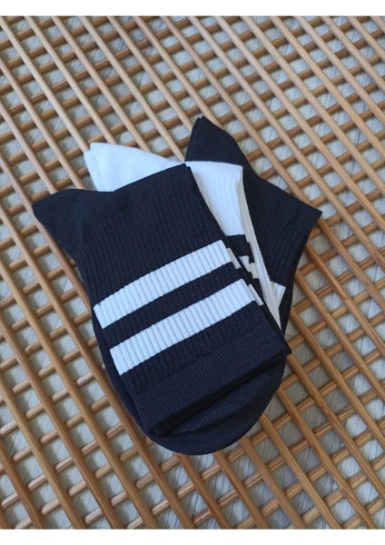 Penye Çemberli Tenis Kadın 3 Çift Dikişsiz Çorap