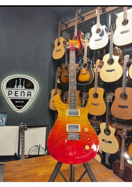 Prs- PR210 Elektro Gitar