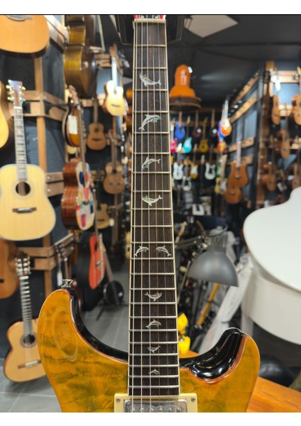 Prs- PR210 Elektro Gitar