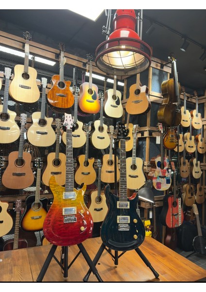 Prs- PR210 Elektro Gitar