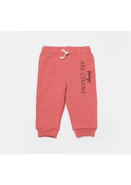 Babycosy Bebek Kapüşonlu Sweatshirt ve Pantolon Seti, %100 Organik Pamuk, Bebek ve Yenidoğan Serisi - CCSY8006 indirimleri