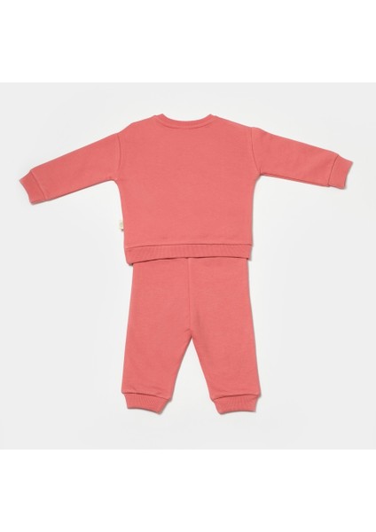 Babycosy Bebek Kapüşonlu Sweatshirt ve Pantolon Seti, %100 Organik Pamuk, Bebek ve Yenidoğan Serisi - CSY8010 fiyatları
