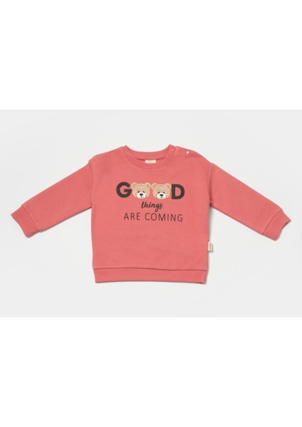 Babycosy Bebek Kapüşonlu Sweatshirt ve Pantolon Seti, %100 Organik Pamuk, Bebek ve Yenidoğan Serisi - CSY8010 modelleri