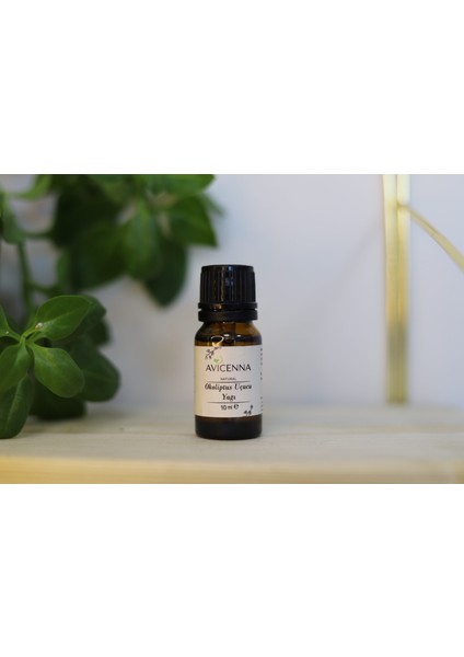 Okaliptus Uçucu Yağı Saf 10 ml
