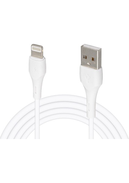 WK-22019 USB To Lıghtnıng Şarj Kablosu (No:5) (4767) - Lisinya