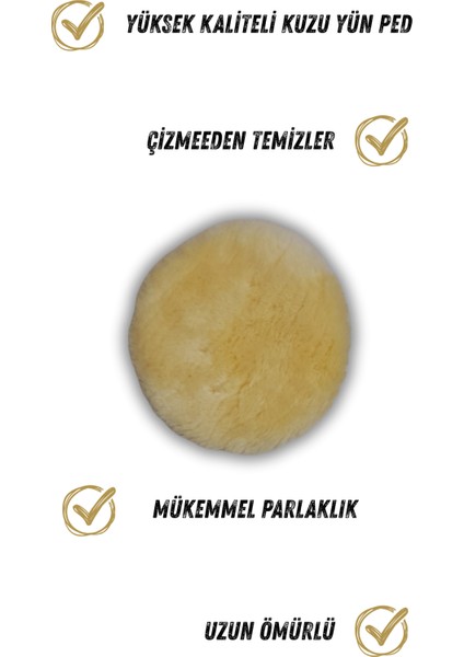 Çizik Giderici Kuzu Yünü Polisaj Keçesi / Pedi (Çapı: 16cm / 160mm) fiyatları