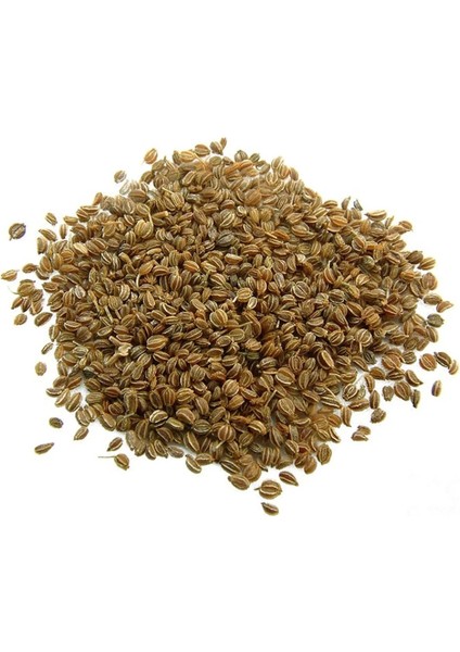 Kereviz Tohumu 500 gr (Celery Seeds)