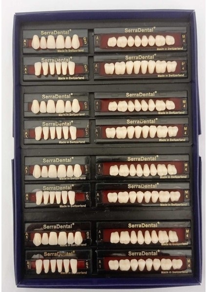 Dental Diş Hekimleri ve Öğrencileri için Eğitimi Amaçlı Akrilik Yapay 28'lik 4 Takım Diş