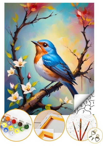 Sayılarla Boyama Numaralı Tuval Seti Fırça Boya Dahil 40X50CM Kuş