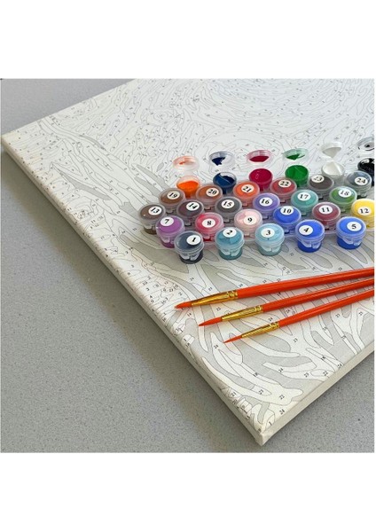 Sayılarla Boyama Numaralı Tuval Seti Fırça Boya Dahil 40X50CM - Pembe Nilüfer ve Kuğular