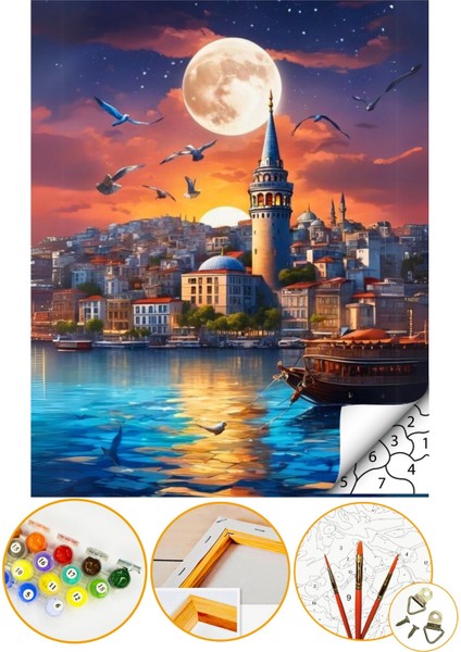 Sayılarla Boyama Numaralı Tuval Seti Fırça Boya Dahil 40X50CM - Galata ve Kuşlar