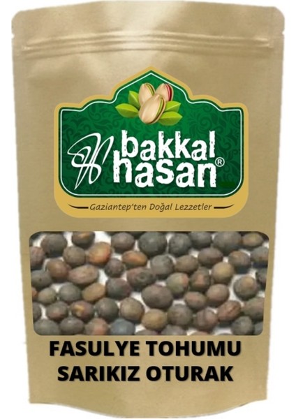 Fasulye Tohumu Elif Oturak 25 gr