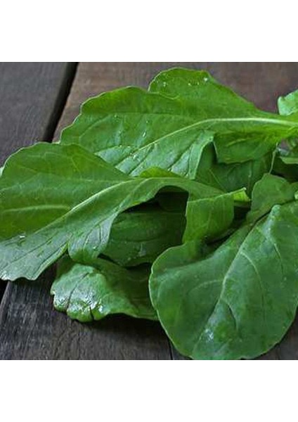 Roka Tohumu Nuran 10 gr