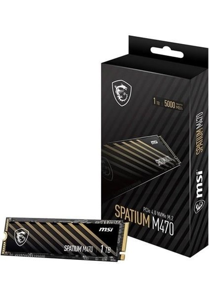 Msı 1tb Spatıum M470 Pro 6000-4500MB/S M2 Nvme Gen4 Disk