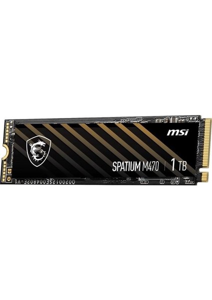 Msı 1tb Spatıum M470 Pro 6000-4500MB/S M2 Nvme Gen4 Disk